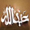 هل اسم والد الإمام المهدي (عج)، عبدالله؟