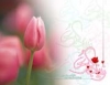 Hazrat Zainab: Lady of knowledge and virtue