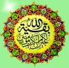 What do WAHABIS say about imam MAHDI?