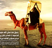 سیری در زندگانی عایشه