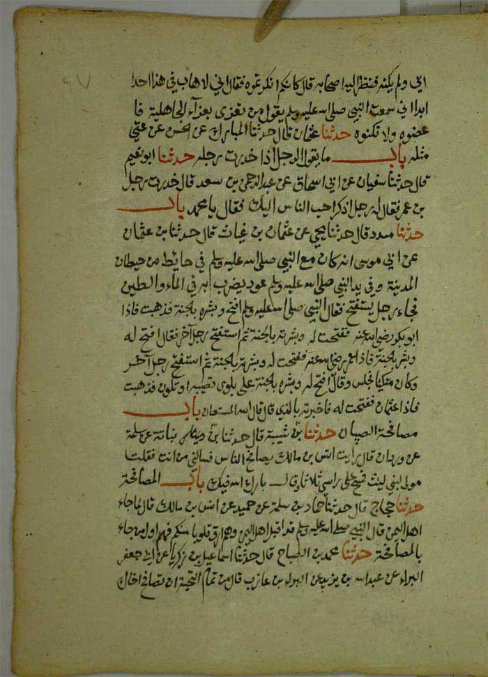 عكس شماره 8