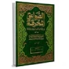 امام حسن (علیه السلام) نے ابوبکر اور امام حسین علیہ السلام نے عمر  کو منبر سے اتارا