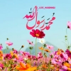 امام صادق علیہ السلام کی نگاہ میں حضرت محمد صلی اللہ علیہ و آلہ وسلم کا مقام