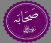 اصحاب پر حد جاری ۔۔۔۔۔

بعض ام المومنین پر تہمت لگانے والے اصحاب پر آنحضرت [ص] نے حد جاری کیا ۔۔