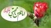 امام حسن مجتبی علیہ السلام کے اجتماعی اخلاق پر ایک نظر