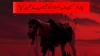 کیا امام حسین علیہ السلام کو شیعوں نے شہید کیا؟!!