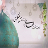 امام زمان(عج) کی ولادت کے بارے میں:
